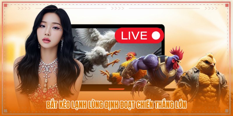 Bắt kèo lạnh lùng định đoạt chiến thắng lớn