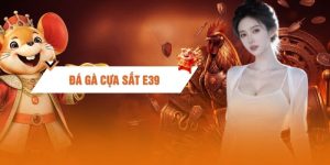Đá Gà Cựa Sắt E39 - Quy Tụ Chiến Kê Dũng Mãnh, Xem Là Ghiền