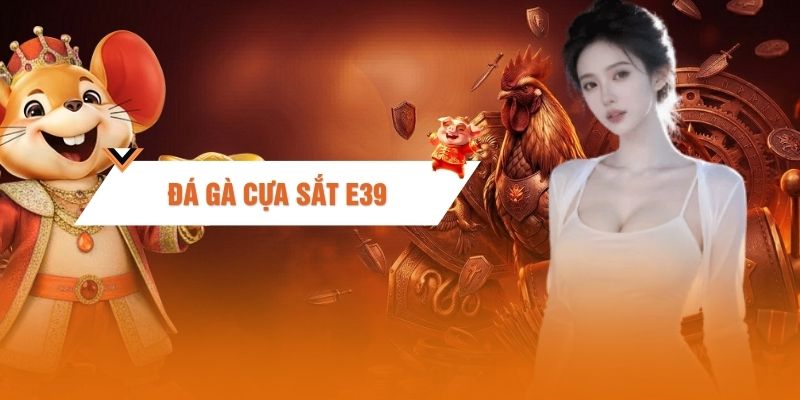 Đá Gà Cựa Sắt E39 - Quy Tụ Chiến Kê Dũng Mãnh, Xem Là Ghiền